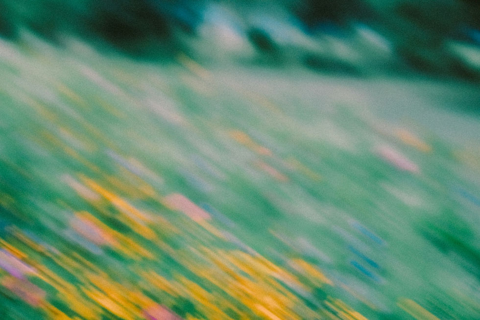 sydney-moore-g6Y9kTHkFW4-unsplash.jpg