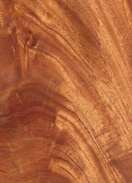 Explorez la beauté naturelle et l’élégance intemporelle de notre feuille de placage d’acajou. Chaque feuille est unique, reflétant la richesse et la profondeur des grains du bois d’acajou. Idéale pour les projets d’ébénisterie et de menuiserie, notre feuille de placage d’acajou ajoute une touche de sophistication à tout espace. Avec son grain fin et sa couleur chaude, l’acajou est un choix populaire pour les meubles, les armoires et les revêtements muraux. Améliorez votre intérieur avec notre feuille de placage d’acajou de qualité supérieure.