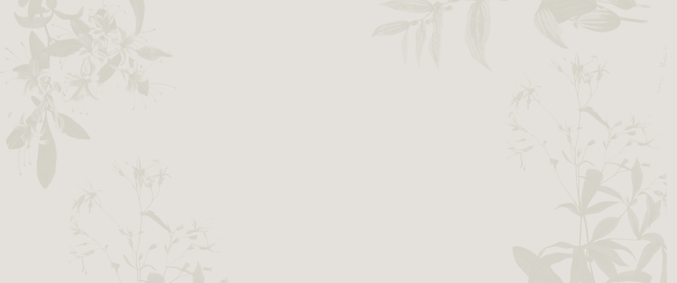Map background.png