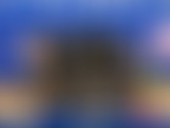 Lowcountry Lowdown for October 12, 2025