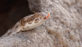 Screenshot 2023-03-30 at 1.54.40 PM.png