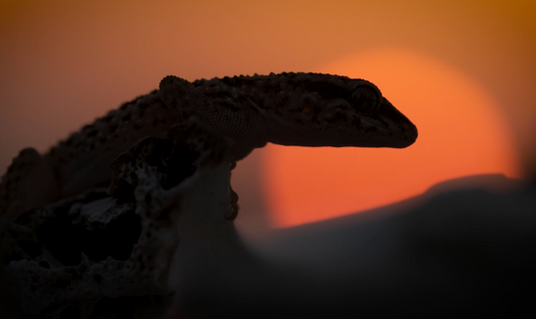 Screenshot 2023-06-05 at 11.23.23 AM.png