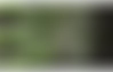 Vertical farming and growing your meat not killing animals