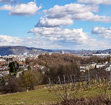 Haushälterin in Leonding