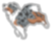 Aussie (Merle) - Clear Glossy Vinyl Sticker