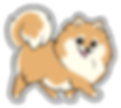 Pomeranian (Tan) - Clear Glossy Vinyl Sticker