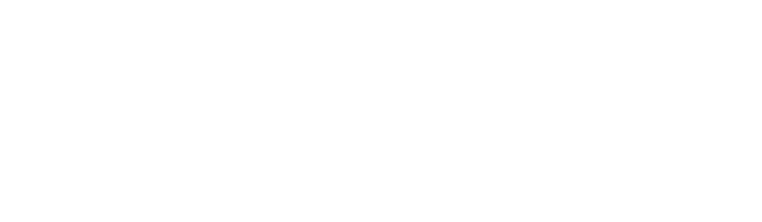 FEI_Logo_Stack.png