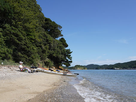 快適な日々