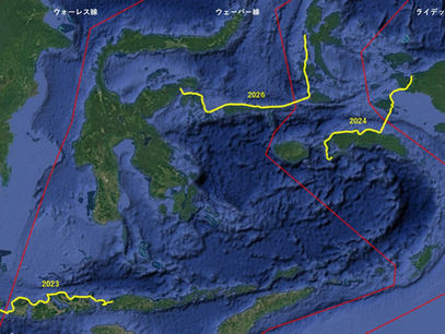 スラウェシ-北マルク遠征概要