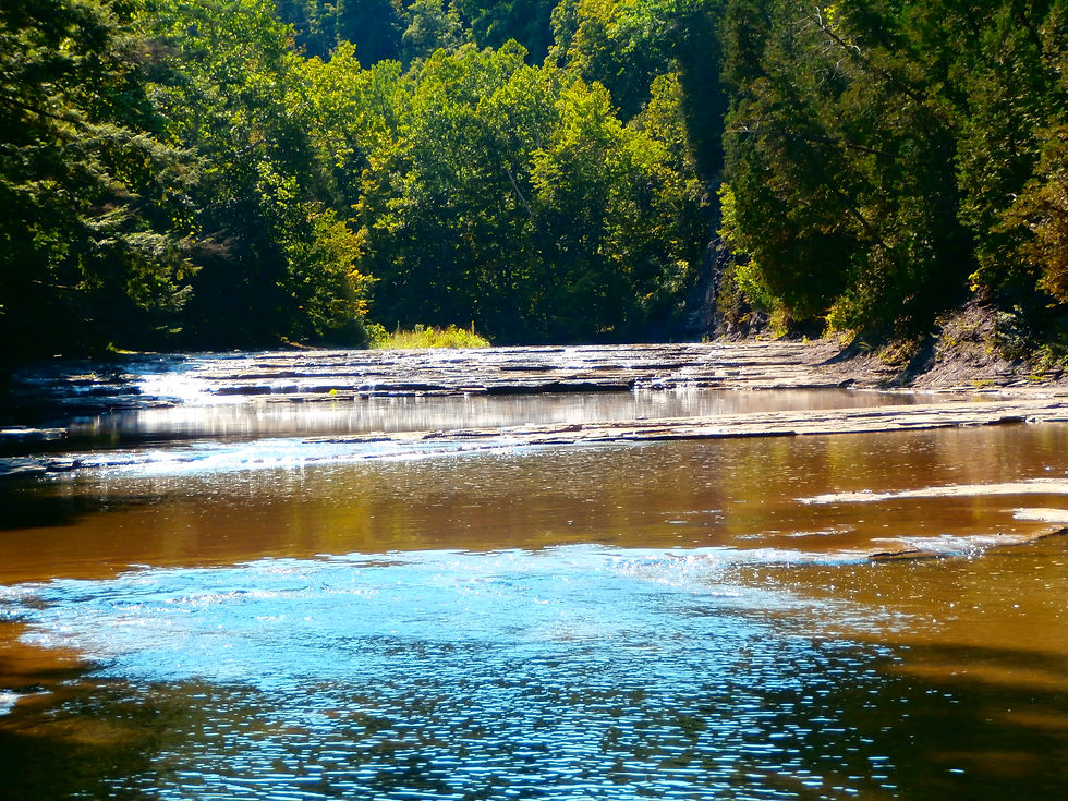 malcolm kogut wintergreen park (7)