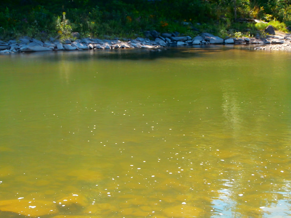 malcolm kogut schoharie creek burtonsville (8)