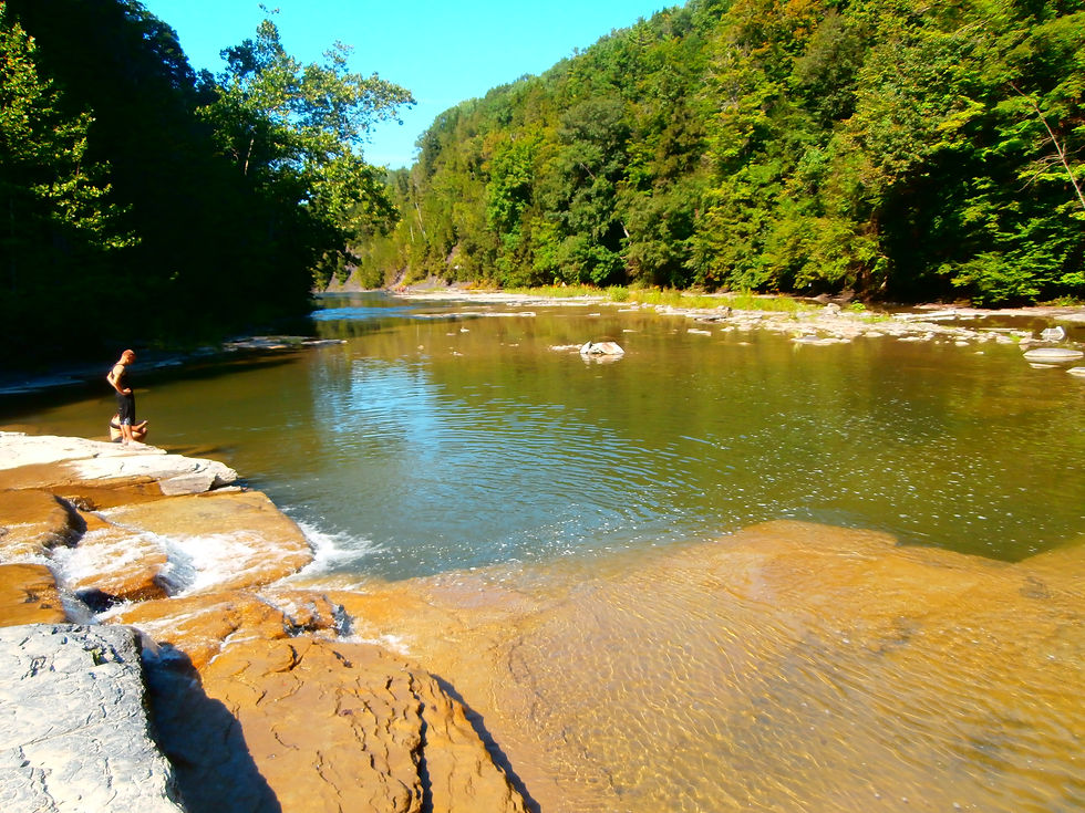 malcolm kogut wintergreen park (3)