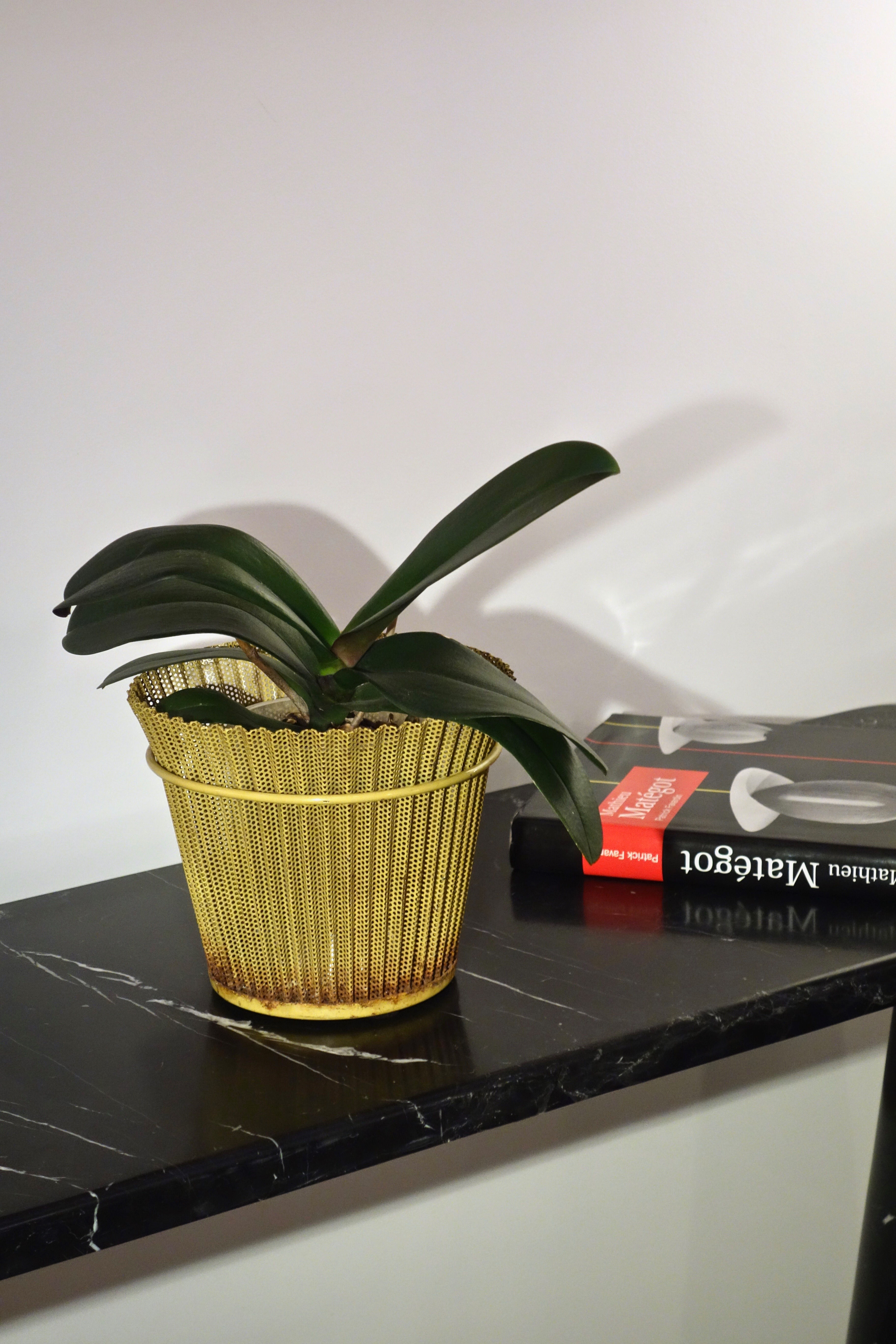 Cache pot en rigitulle jaune par Mathieu Matégot