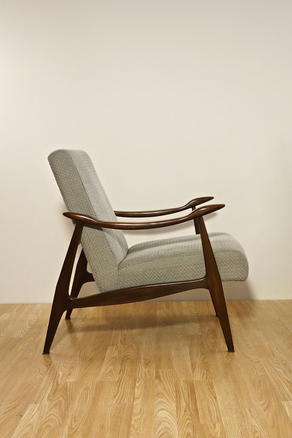Miniature : Fauteuil Italien des années 1960's