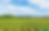 PhotoAgriculture001.png