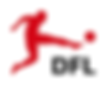 DFL_neu (2).png
