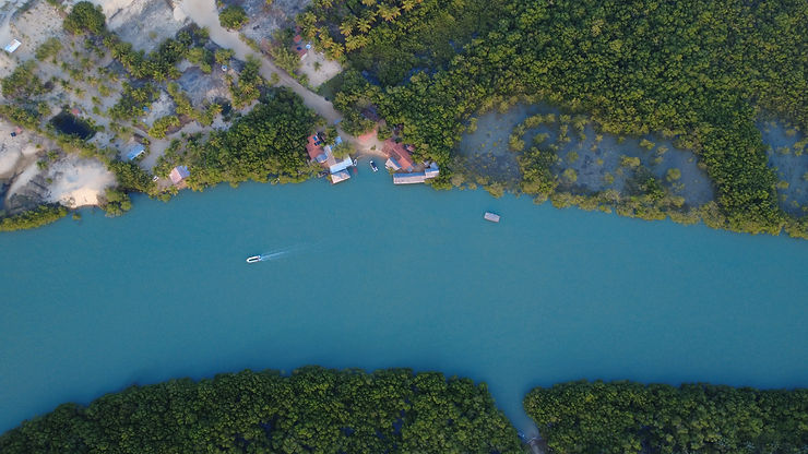 DJI_0320.JPG