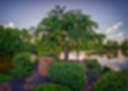 nursery pond 8.jpeg