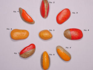 Edition "...here comes the sun..."