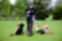 WalkingwithPurpaws10.JPG