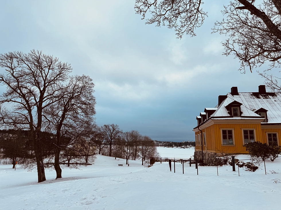 Vinter_Kristinahuset9