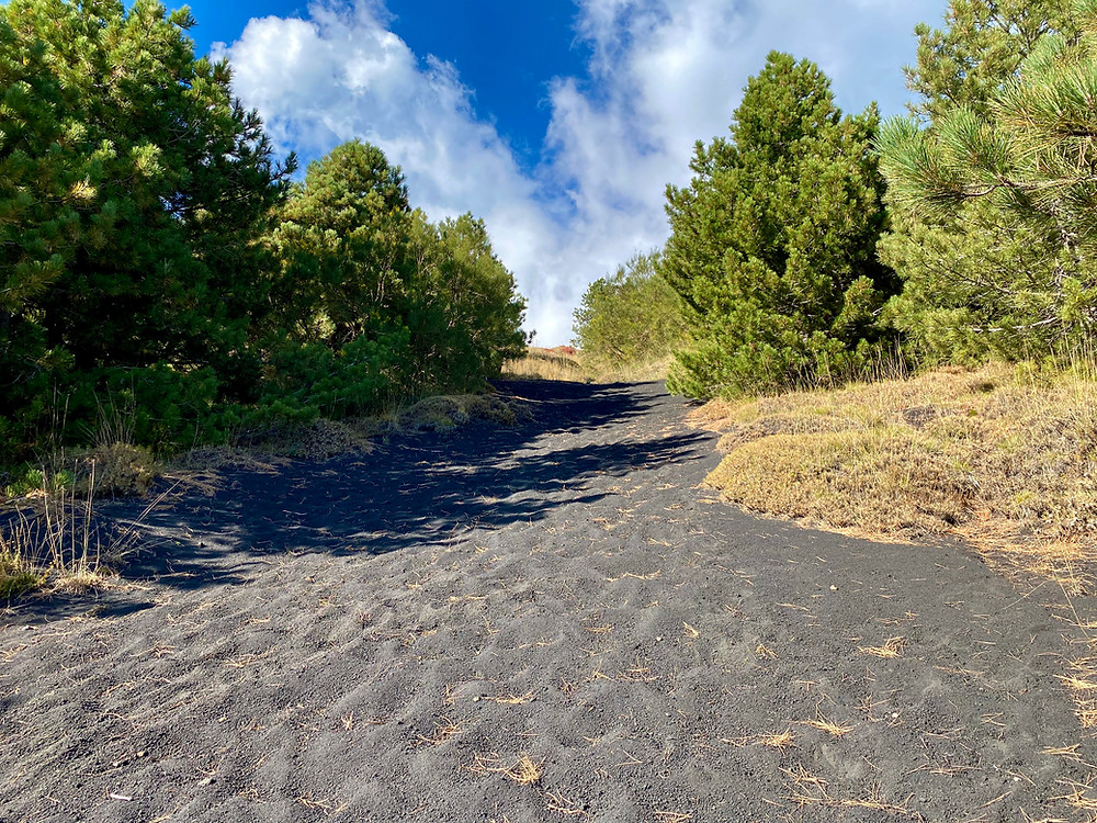 mount-etna-hikes-schiena-dell-asino-13