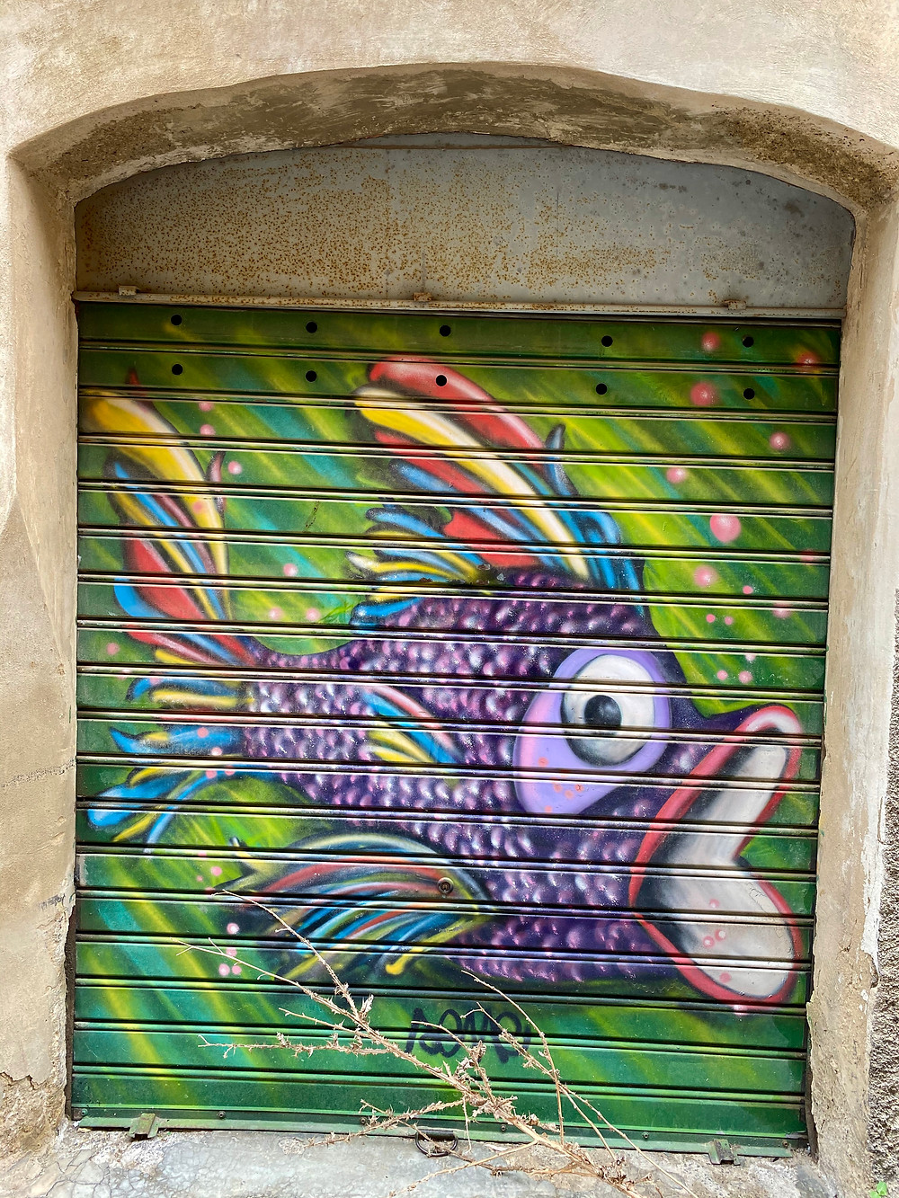 caltagirone-sicily-street-art-7