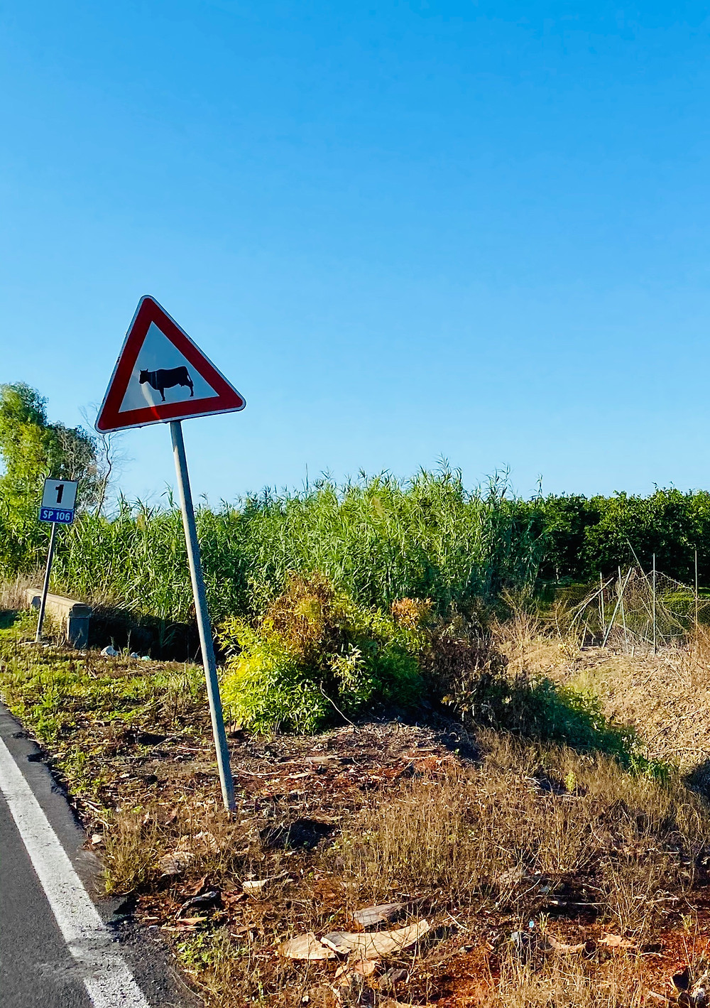sicily-driving-road-hazards