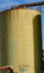 catania-street-art-chestnut-tree