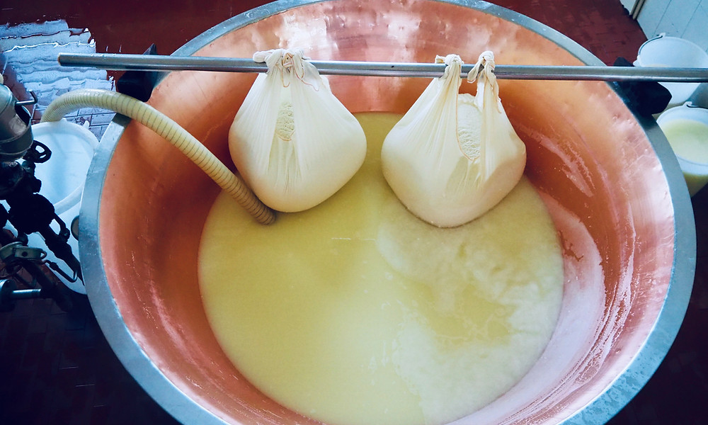 parma-food-tours-cheese-farm-6