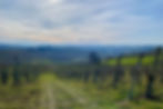 Italy-winter-wine-tours-Piedmont-Barolo
