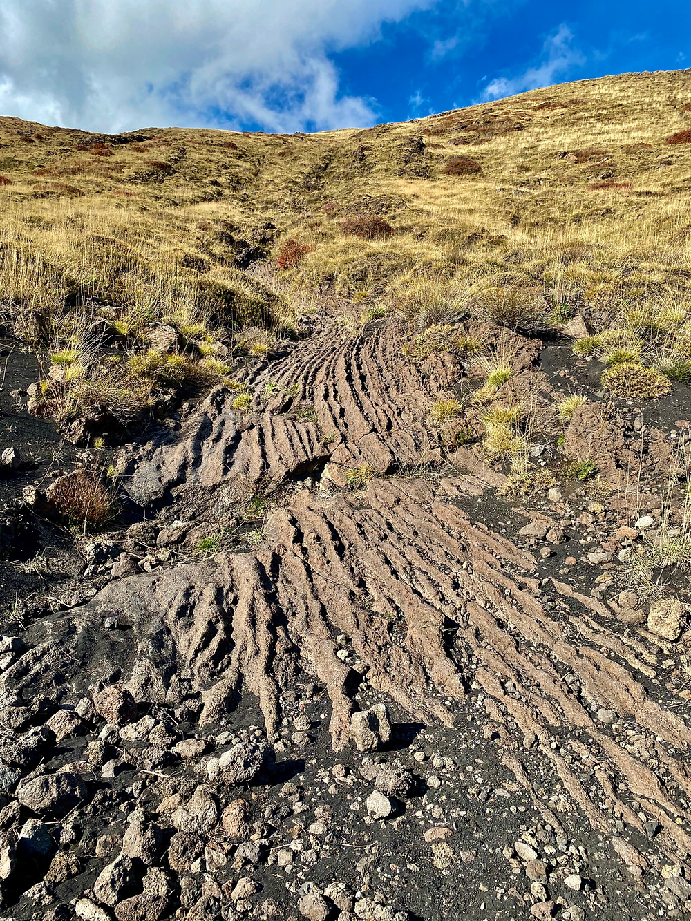 mount-etna-hikes-schiena-dell-asino-11