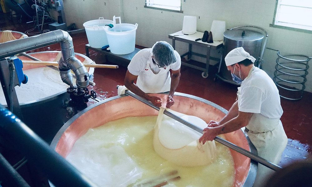 parma-food-tours-cheese-farm-5
