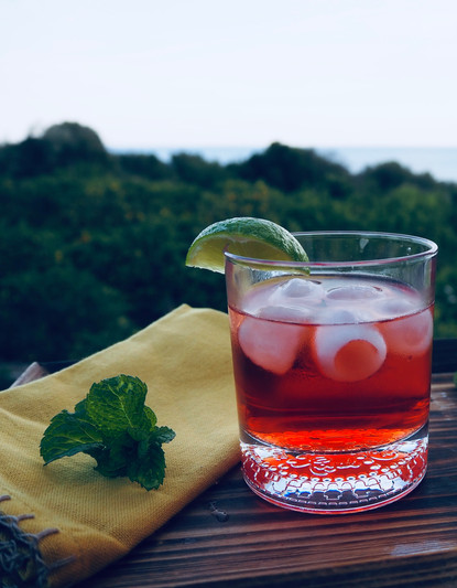 Negroni Cocktail