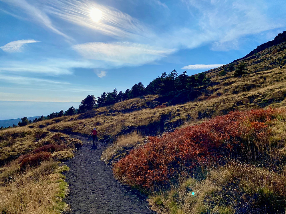 mount-etna-hikes-schiena-dell-asino-1