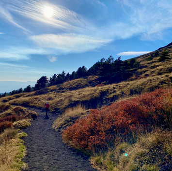 Mount Etna Hikes | Schiena dell'Asino