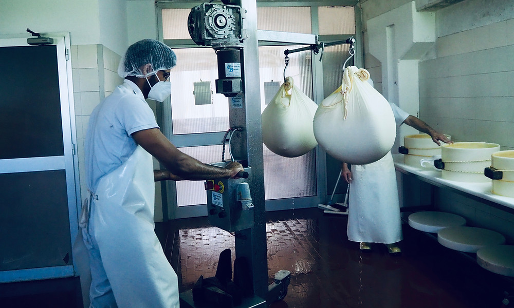 parma-food-tours-cheese-farm-7