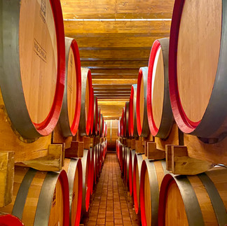 Mount-Etna-best-wineries-nicosia-barrel-room