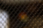 grid-7892225_1280.jpg