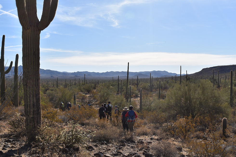 Students hiking in the desert to drop food and water in a location known to be on a path which migrants travel on their way into Arizona.