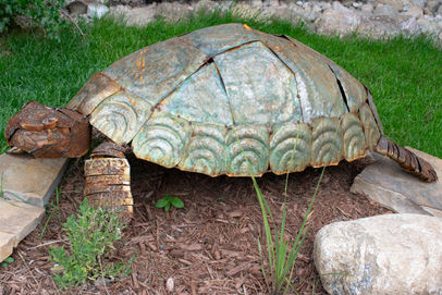 tortoise