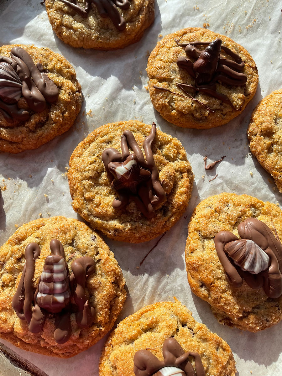 Sourdough Cookies