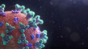 IMPACTS OF CORONAVIRUS ON THE FASHION INDUSTRY