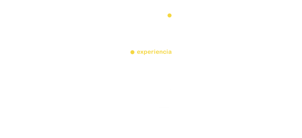 Experiencia Creativa.png