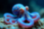 AdobeStock_1371605985.jpeg