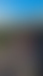 Home Albert Park at sunset