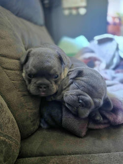 e934d29b-d208-42ed-bc8b-32b03b979c88