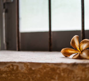 WhatsApp Image 2024-04-03 at 21.13.03 (2).jpeg