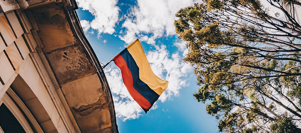 flavia-carpio-P3PFi8THbUs-unsplash_edite