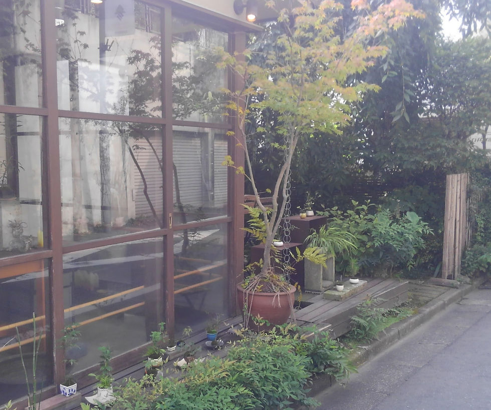 隆龍店先の緑